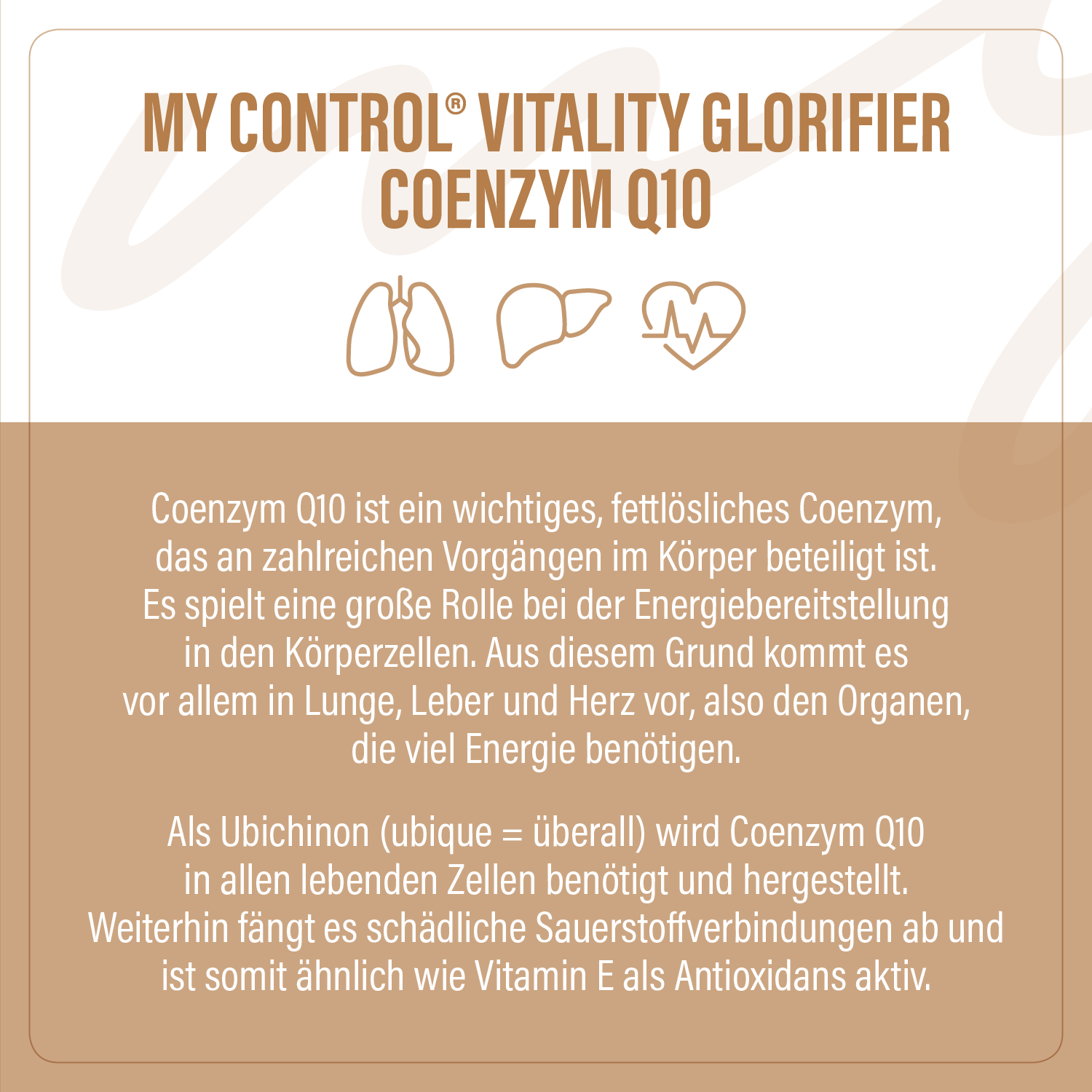 Glorifier Coenzym Q10 Wirkung