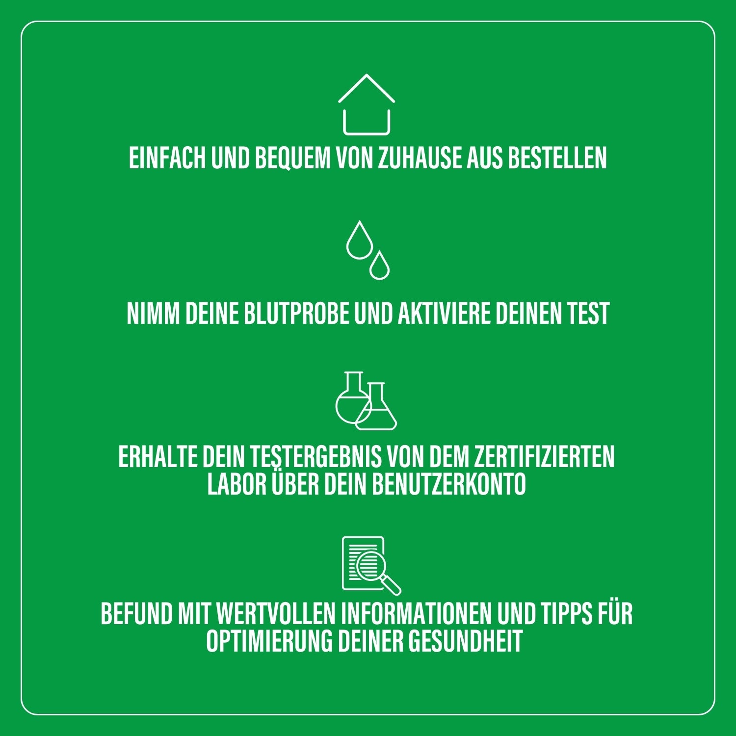 Vitamin B12 Test