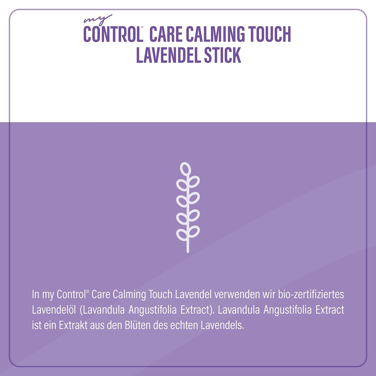 Bio-zertifiziertes Lavendelöl