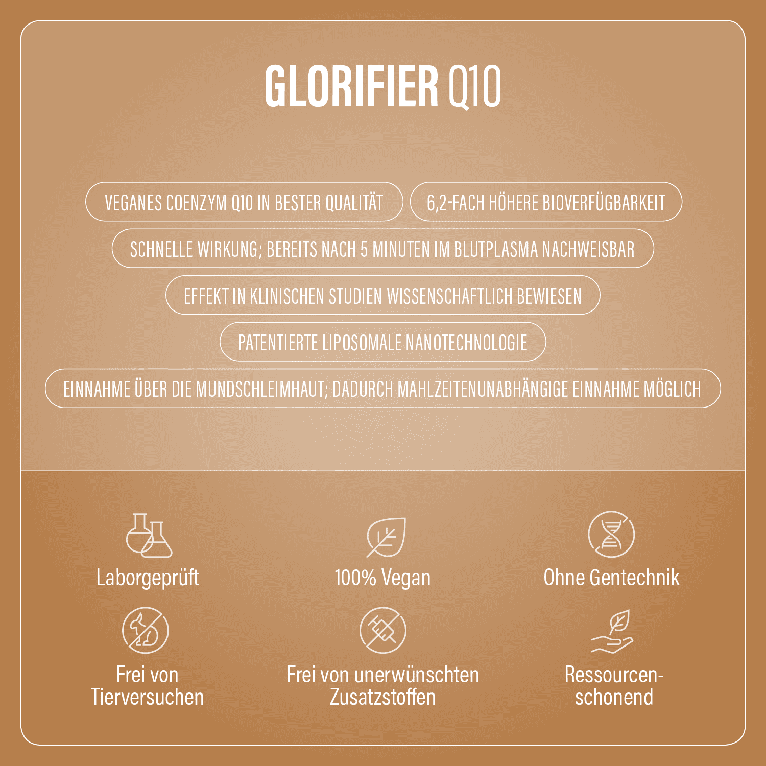 Glorifier Coenzym Q10  Vorteile