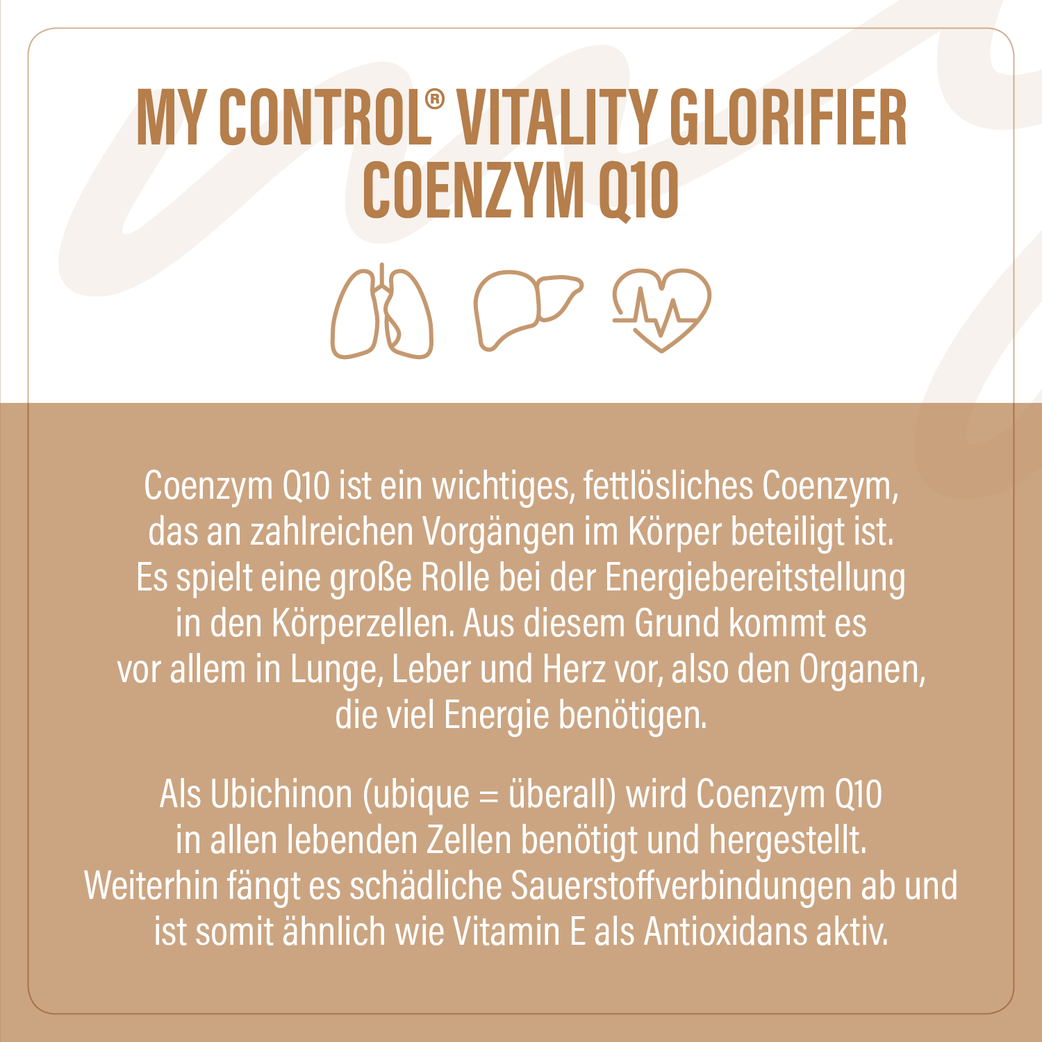 Glorifier Coenzym Q10 Allrounder Astaxanthin Tagesdosis und Inhaltsstoff